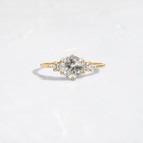 Blossom Ring, 1.01ct. Salt and Pepper Diamond