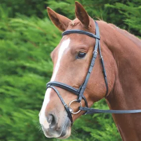 Shires Velociti GARA Raised Flash Bridle